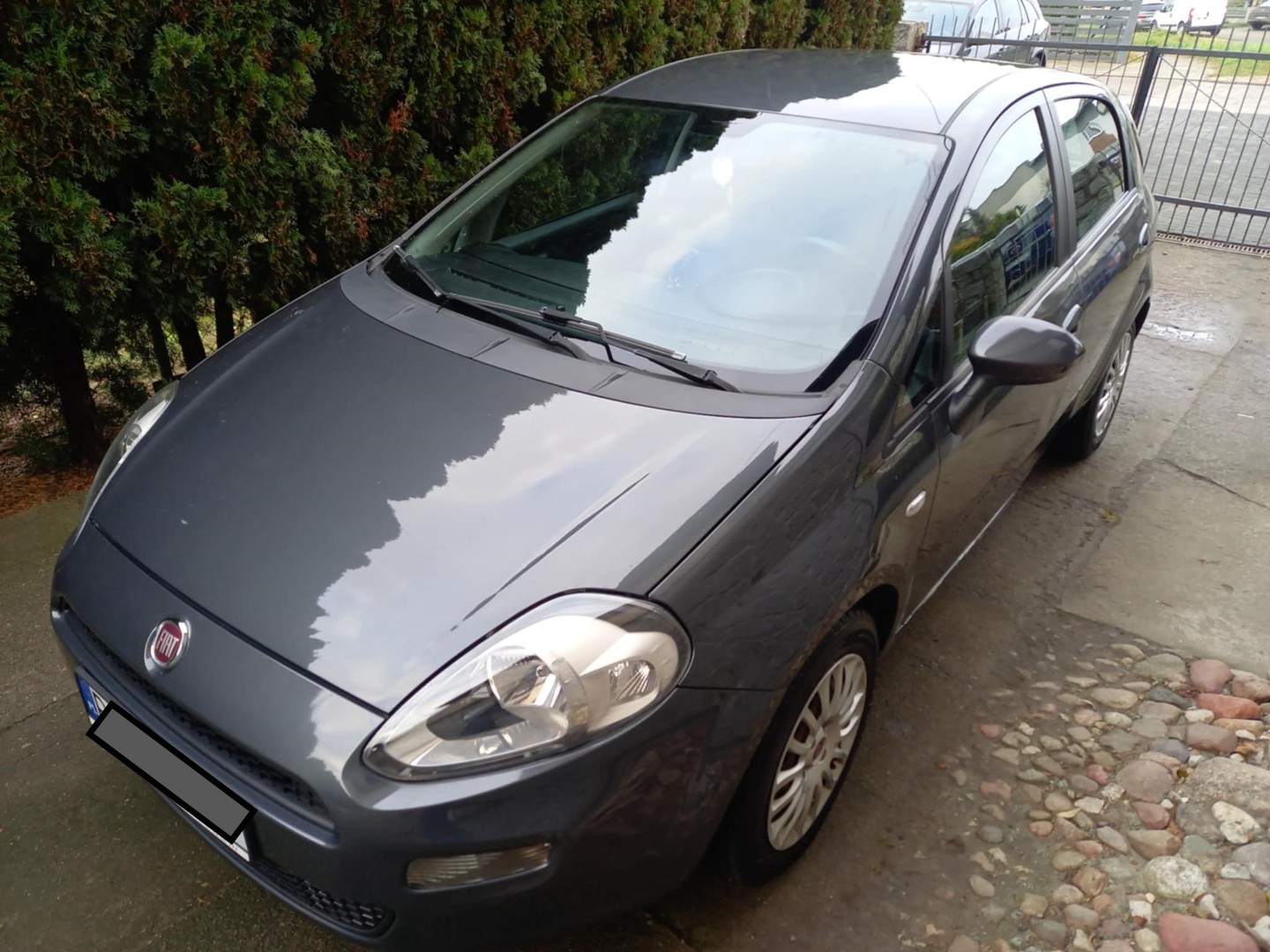 Fiat Punto Evo klima zarejestrowane