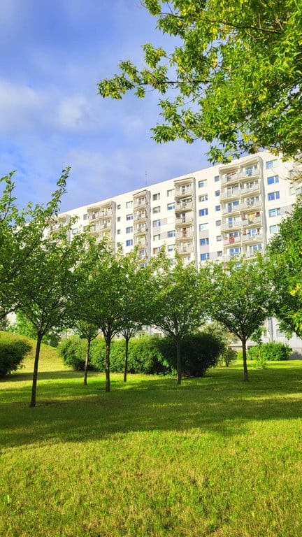 1-room apartment of 36 m²