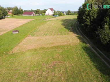 Borówna- Działka na sprzedaż- Budowlana 10 ar-1