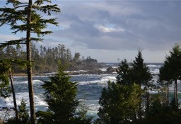 Mieszkanie Ucluelet