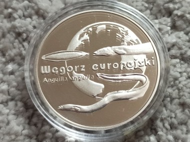 20 zł 2003 r.  Węgorz Europejski-1