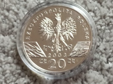 20 zł 2003 r.  Węgorz Europejski-2