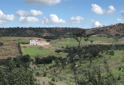 Dom Garvão E Santa Luzia