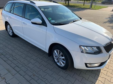 1.6 TDI 4x4/Salon Polska/Serwis ASO/niski przebieg/b.zadbany-1