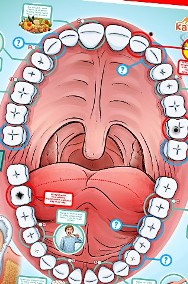 ZDROWE ZĘBY duża EKO GRA planszowa dla dzieci A1 A0-2