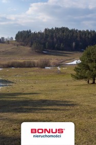 Rychnowska Wola - działka w dolinie Drwęcy-2