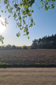 Sochaczew dla Dewelopera lub rodziny, duża działka przy lesie-2