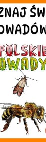 POLSKIE OWADY duża EKO GRA planszowa dla dzieci A1 A0-4