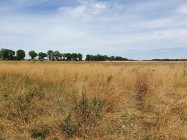Działki rolno-budowlane Radwanice 3,47 ha