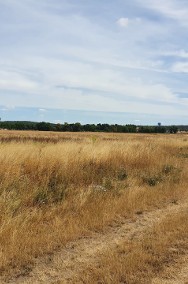 Działki rolno-budowlane Radwanice 3,47 ha-3