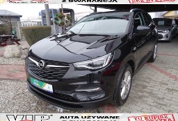 Opel Grandland X POLSKI SALON/ I WŁAŚCICIEL