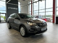 Opel Grandland X Innovation 1.6Turbo 180KM AT8 2019 r., salon PL, I wł., 12 m-cy gwar