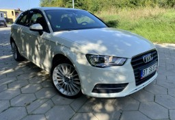 Audi A3 III (8V) Audi A3 Opłacony Klimatronic Ksenon 1.6 TDI 105 KM