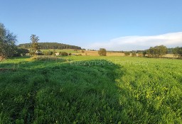 Działka siedliskowa Raszów