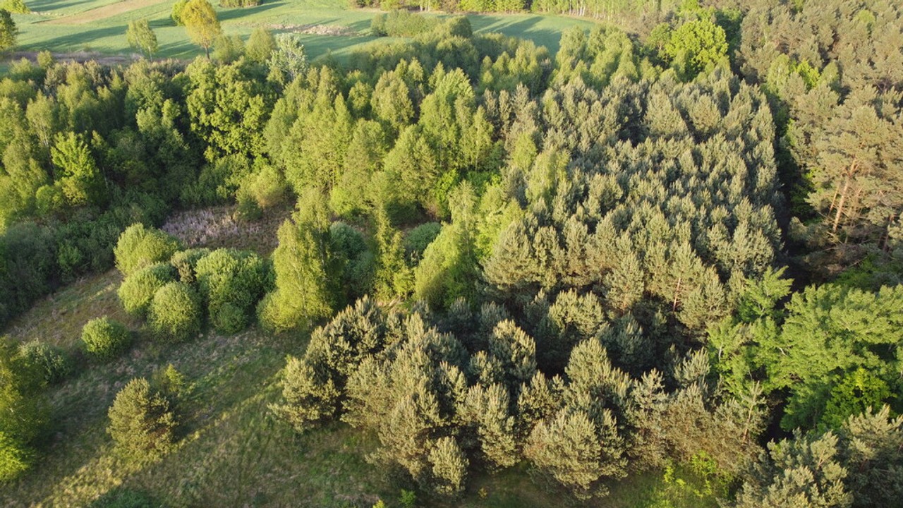 Nietypowa działka 2 ha w Kawęczynie gm. Ciepielów - Widok 4