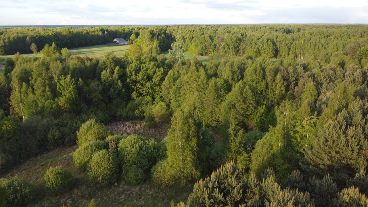Nietypowa działka 2 ha w Kawęczynie gm. Ciepielów - Widok 6