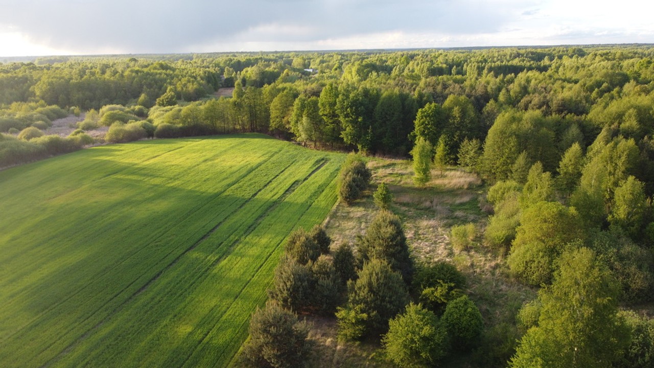 Nietypowa działka 2 ha w Kawęczynie gm. Ciepielów - Więcej