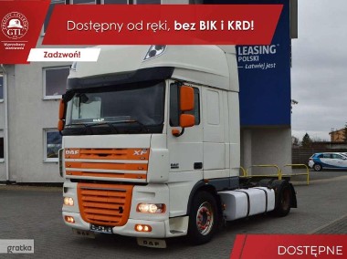 DAF-1