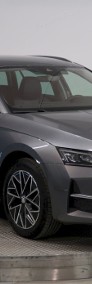 Skoda Octavia IV Edition 130 Selection 1.5 TSI mHEV DSG Edition 130 Selection 1.5 TSI-3