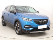 Opel Inny Opel , Salon Polska, 1. Właściciel, Serwis ASO, Klima, Tempomat,