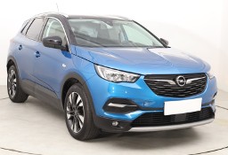 Opel Inny