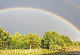 Działka rolna Taszewko