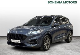 Ford Kuga IV III 2019-
