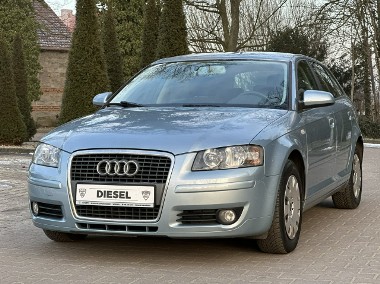 Audi A3 II (8P) Sportback 2008r Bezwypadkowy 1.9 TDI BLS 105 KM Hak Zarejestrowany-1