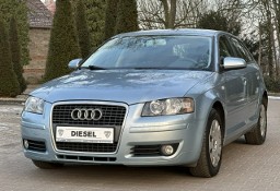 Audi A3 II (8P) Sportback 2008r Bezwypadkowy 1.9 TDI BLS 105 KM Hak Zarejestrowany