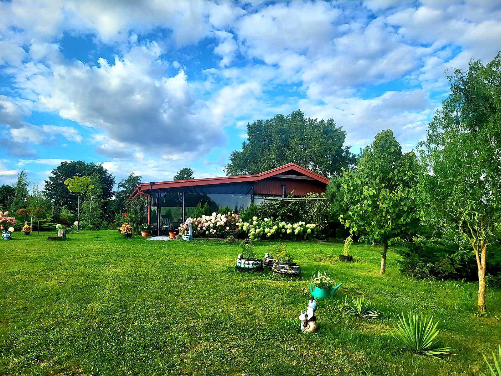 Działka z linią brzegową - Widok 3