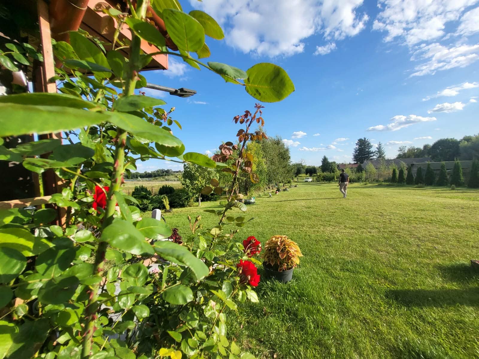 Działka z linią brzegową - Widok 6