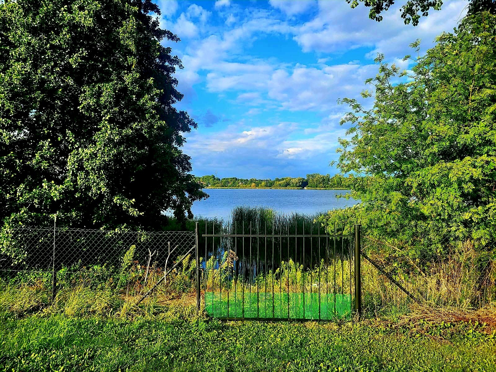 Działka z linią brzegową - Widok 4