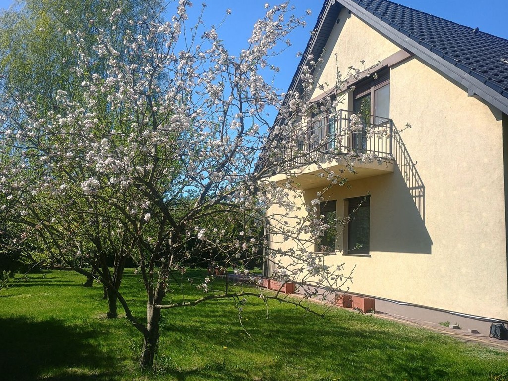 Piękny dom w świetnej lokalizacji blisko lasu - View 3