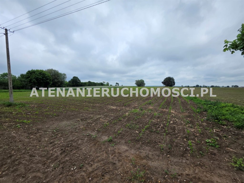 DZIAŁKI BUDOWLANE 6600 m²+26000 m² -MOŻLIWY PODZIAŁ!