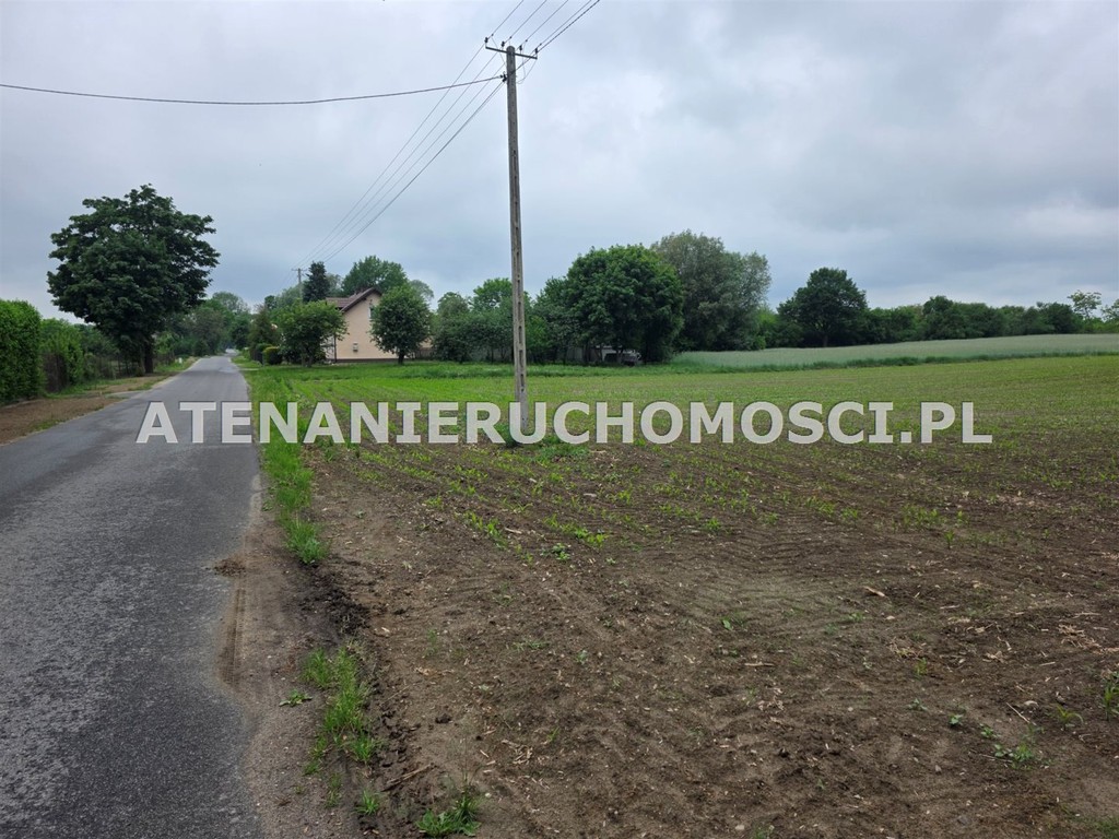 DZIAŁKI BUDOWLANE 6600 m²+26000 m² -MOŻLIWY PODZIAŁ! - Widok 3