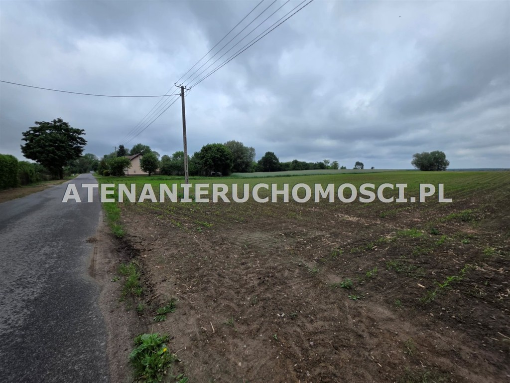 DZIAŁKI BUDOWLANE 6600 m²+26000 m² -MOŻLIWY PODZIAŁ! - Widok 4