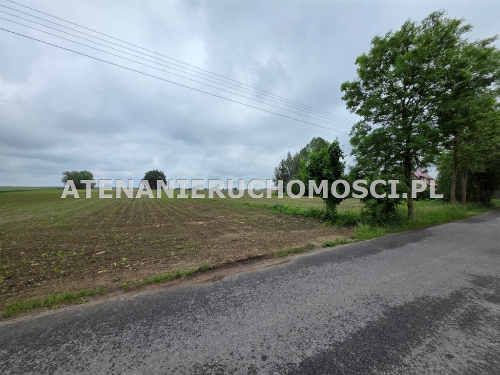 DZIAŁKI BUDOWLANE 6600 m²+26000 m² -MOŻLIWY PODZIAŁ! - Widok 5