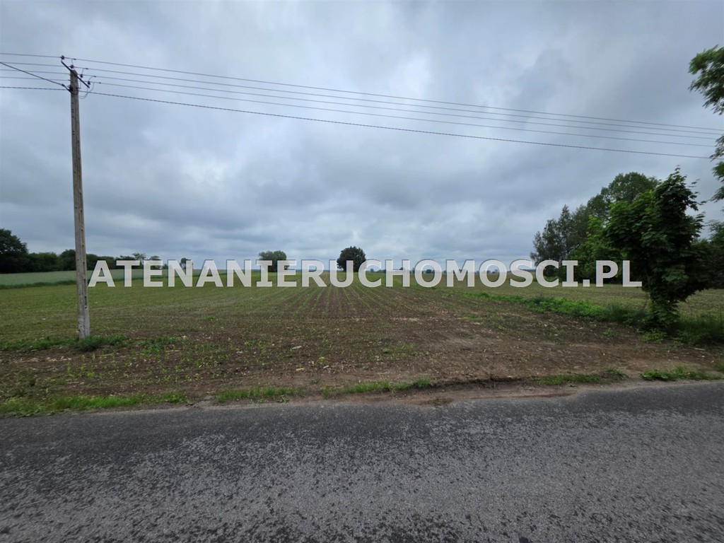 DZIAŁKI BUDOWLANE 6600 m²+26000 m² -MOŻLIWY PODZIAŁ! - Widok 6