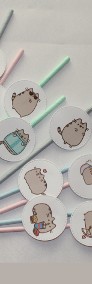 Kot Pusheen kotek Puszin kubeczki papierowe słomki i talerzyki na urodziny-3