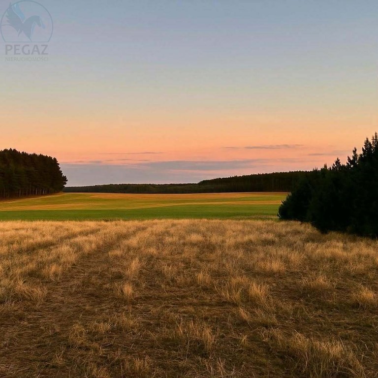 Rezerwacjapiękna Działka Budowlana. gm Pszczewmpzp - Ansicht 2