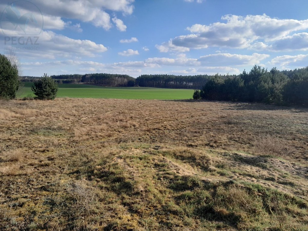 Rezerwacjapiękna Działka Budowlana. gm Pszczewmpzp - Ansicht 4