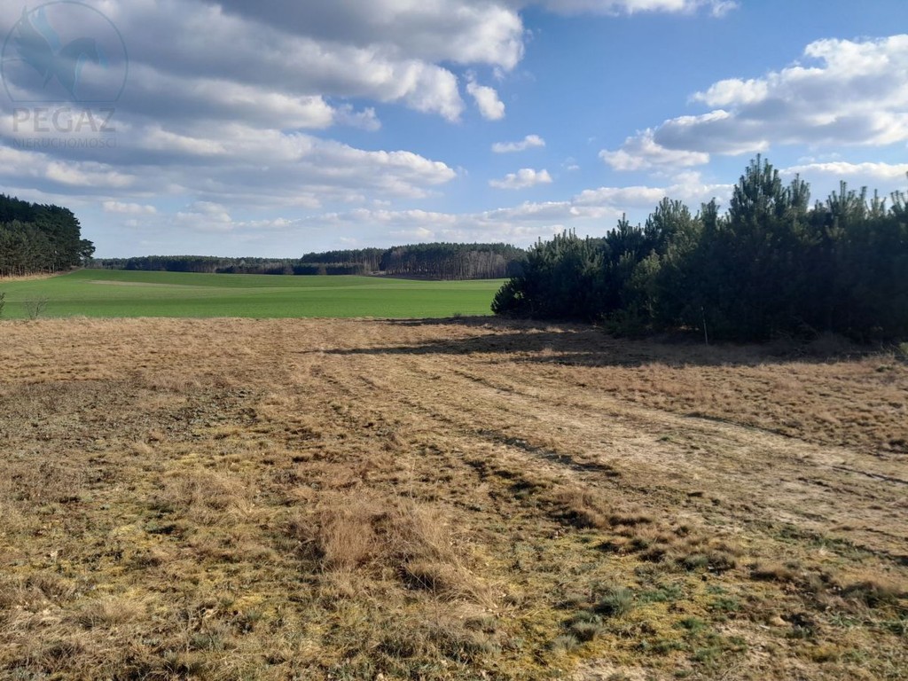 Rezerwacjapiękna Działka Budowlana. gm Pszczewmpzp - Ansicht 5