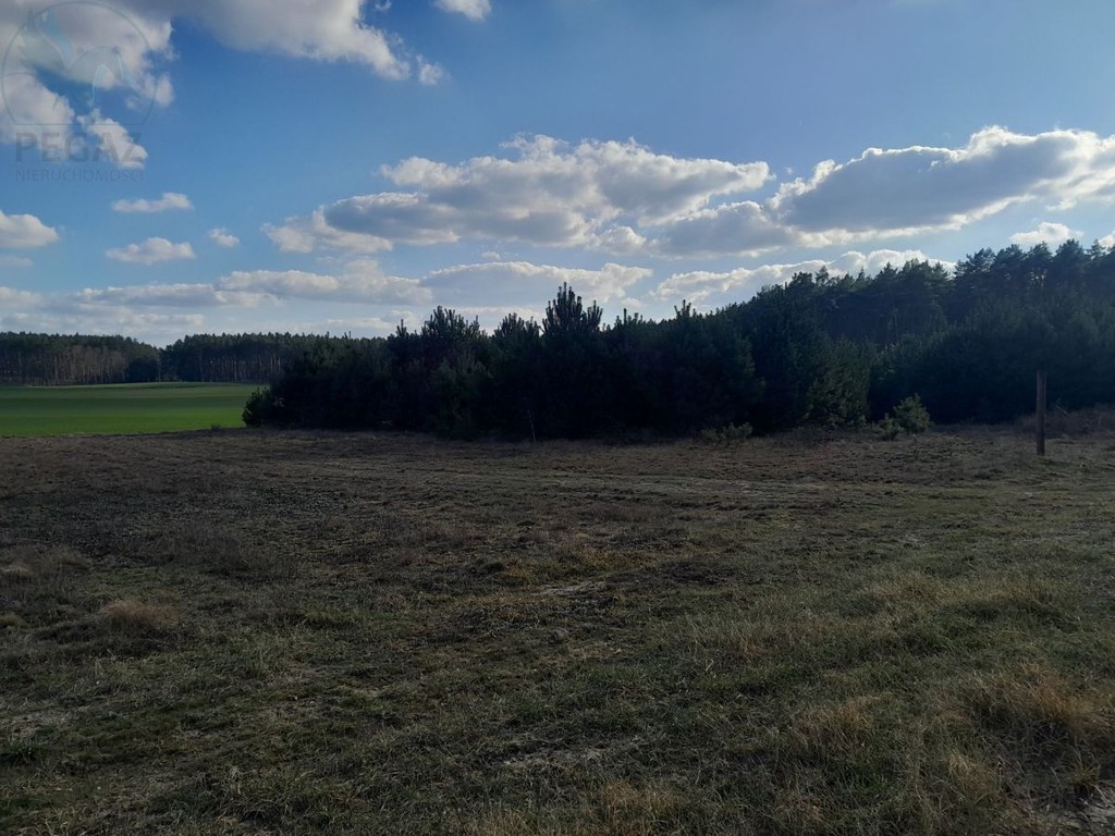 Rezerwacjapiękna Działka Budowlana. gm Pszczewmpzp - Ansicht 6