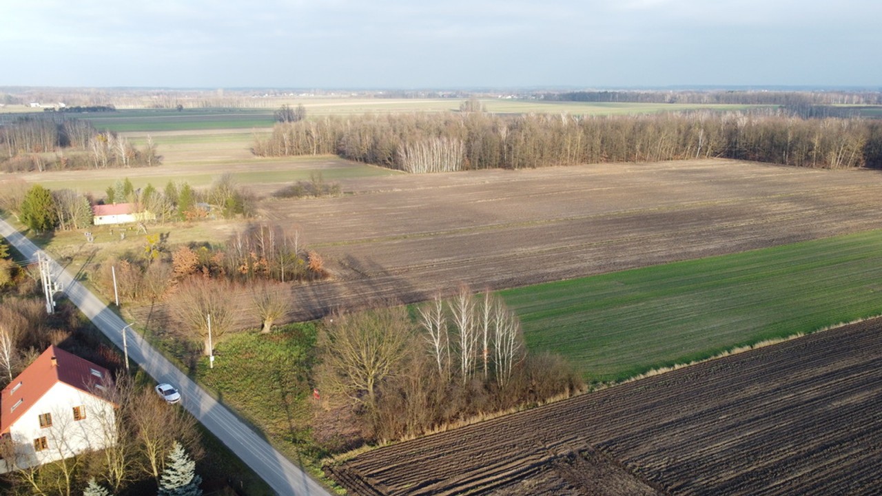 Działka (1182 m²) z WZ w Jabłonowie gm. Policzna. - Widok 6