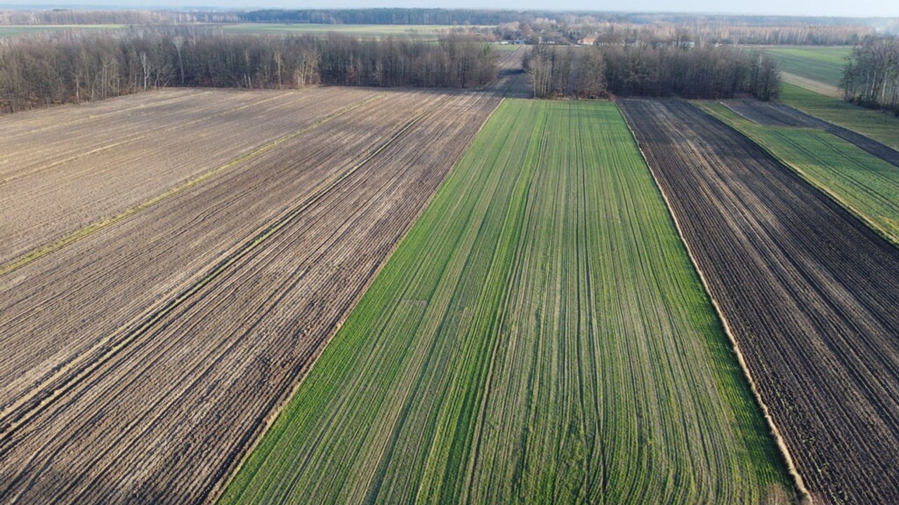 Działka (1182 m²) z WZ w Jabłonowie gm. Policzna. - Więcej