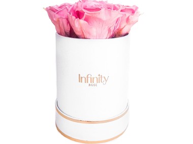 Jasnoróżowe wieczne róże średni biały flower box Infinity Rose-1