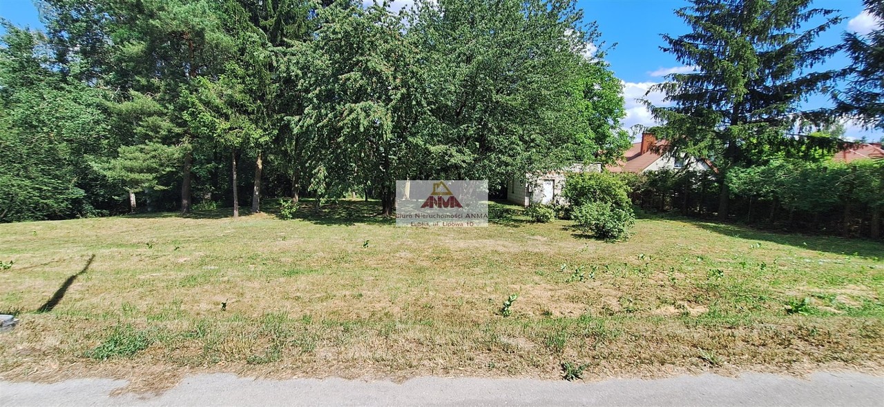 Działka z potencjałem – 2,5 km od miasta! - Widok 3