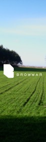 Działka rolna Brodowo-4