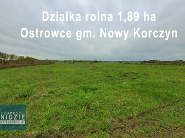 Działka rolna 1,89 ha Ostrowce gm. Nowy Korczyn-1