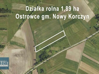 Działka rolna 1,89 ha Ostrowce gm. Nowy Korczyn-2
